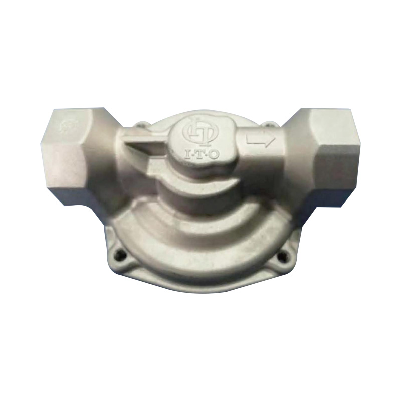 Check valve body
