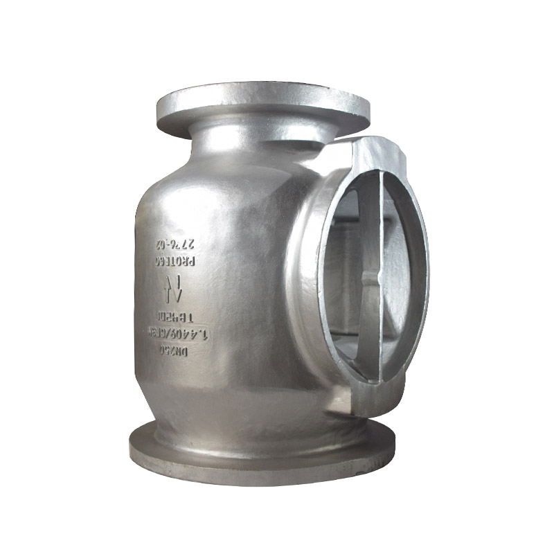 Cast iron check valve